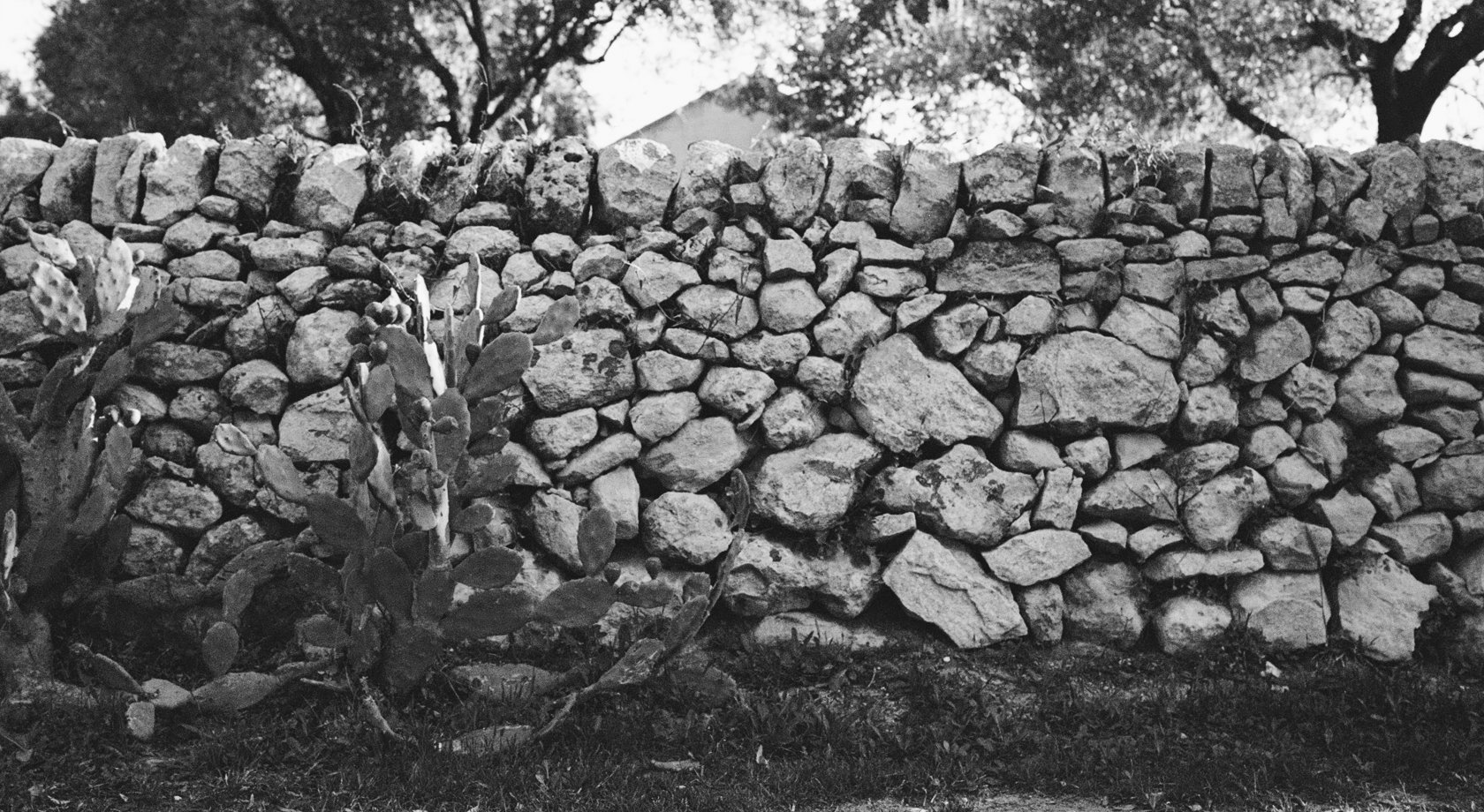 zeď, italský venkov, Puglia, farma, sýrárna