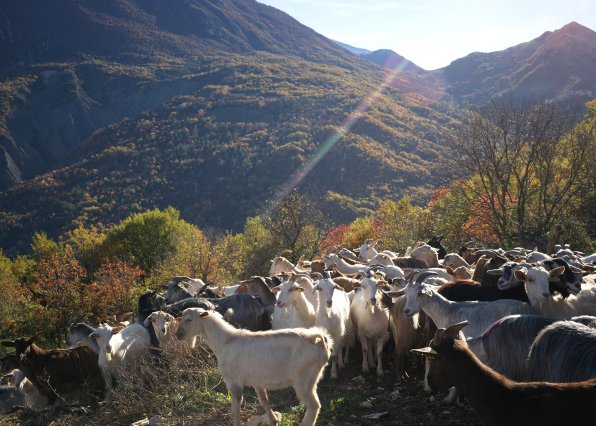 La porta dei parchi, sýry, abruzzo
