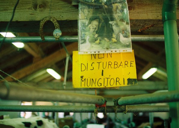 alpeggio, lavarone, millegrobbe, trentino