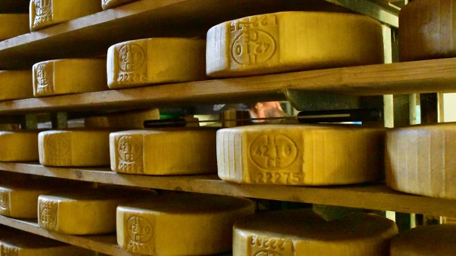 alpeggio, lavarone, millegrobbe, trentino