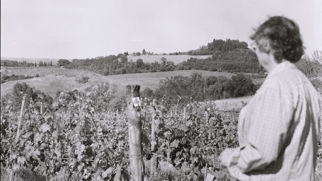 Tenuta Le Calcinaie