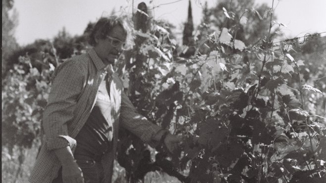 Tenuta Le Calcinaie